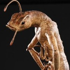 Free access to (@eurayca) Leaks OnlyFans 

 profile picture