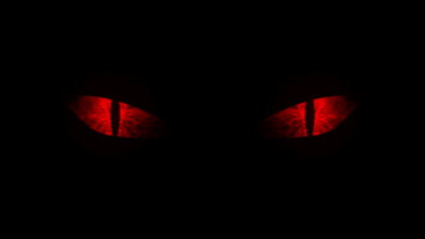 Header of evilkittens