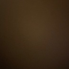 f0xxxybrown OnlyFans Leaked 

 profile picture