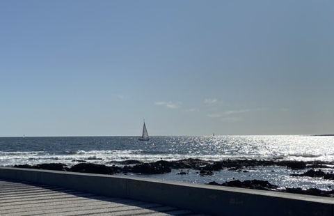 Header of faiscequevoudras
