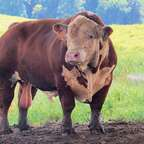 Onlyfans leaks farmer 

 profile picture