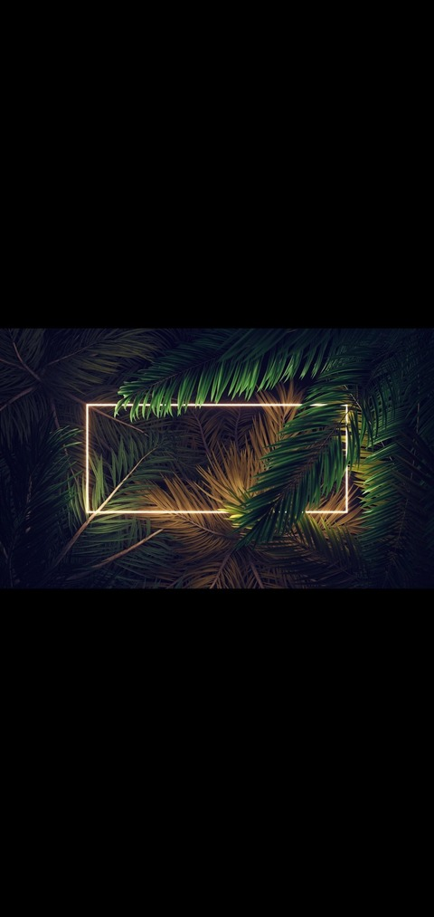 Header of fauxfizzy