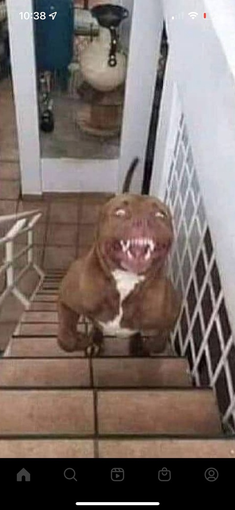 Header of francizbballin69