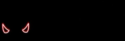 Header of gatitaventurae