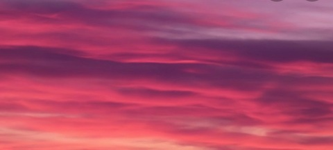Header of giannivigilante
