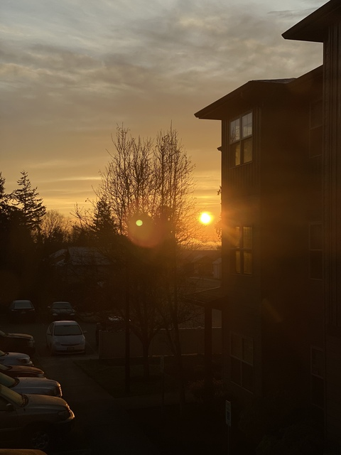 Header of goldieelockss