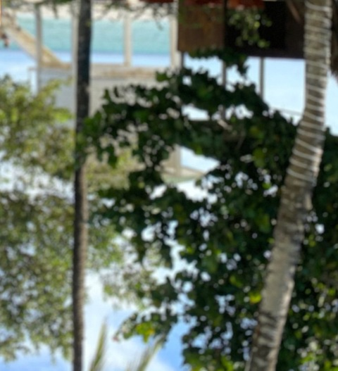 Header of gubyka