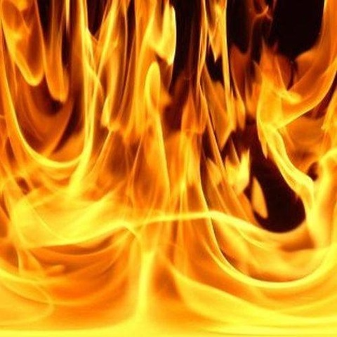 Header of hazel_fire