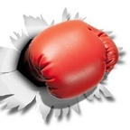 Hard Knockout Boxing (@hkboxing2018) Leaked OnlyFans 

 profile picture