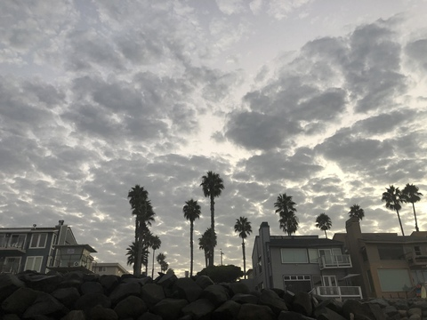 Header of holly.b