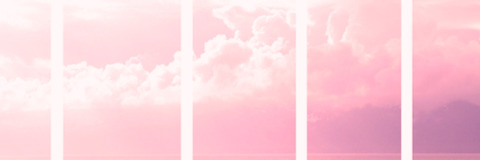 Header of honeybee777