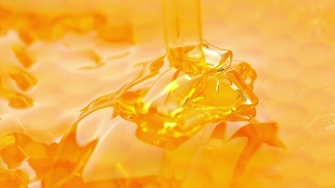 Header of honeypotmamma