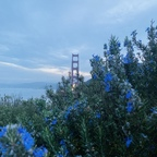 hottielatinaa (Babylatinaa) OnlyFans Leaks 

 profile picture