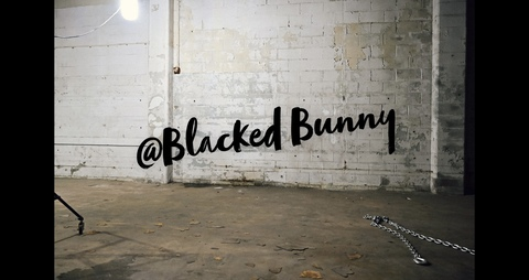 Header of htxblackedbunny