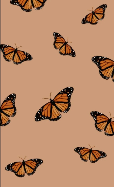 Header of huntlyn