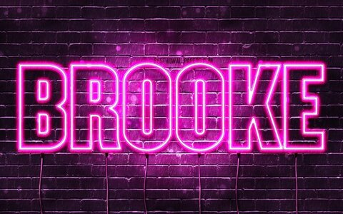 Header of hustlebunny6