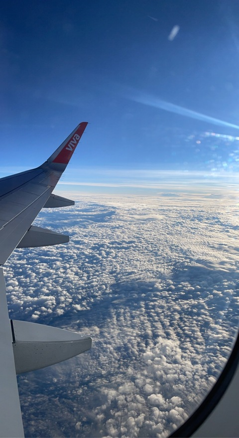 Header of iamxenisis