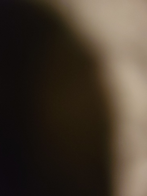 Header of inkedvixen