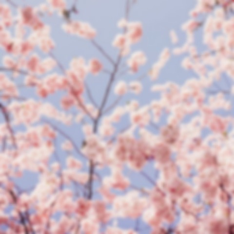 Header of itsplumpmimi