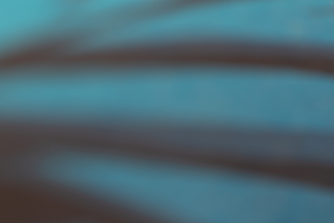 Header of jacklorcan7