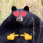 jawbreakerbear (JB, the Jawbreaker Bear) OnlyFans Leaks 

 profile picture