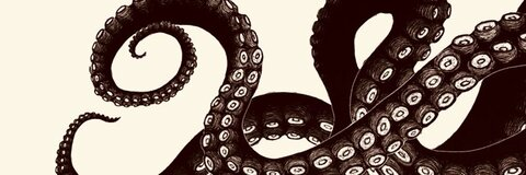 Header of jcranberry