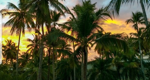 Header of joseph88