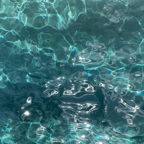 Header of junevictoria