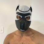 k9kruzeratl OnlyFans Leaked 

 profile picture