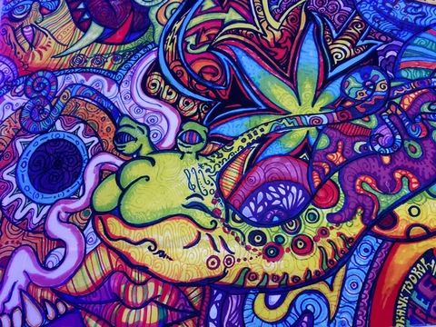 Header of karissakae