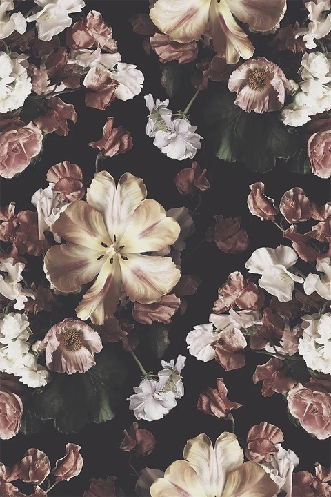 Header of kenziee.mac