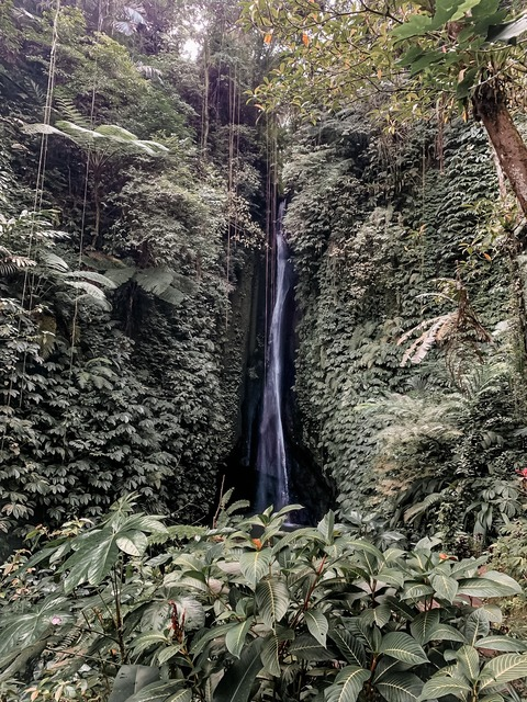 Header of kiinkdao