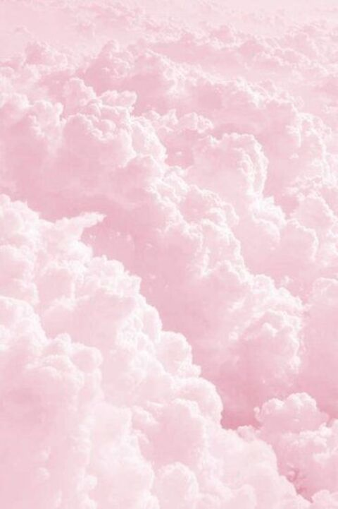 Header of kimmypie