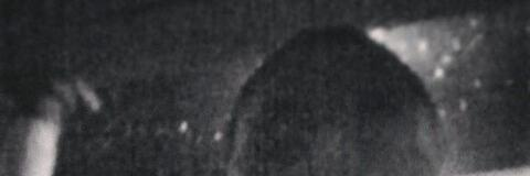 Header of kingemsii