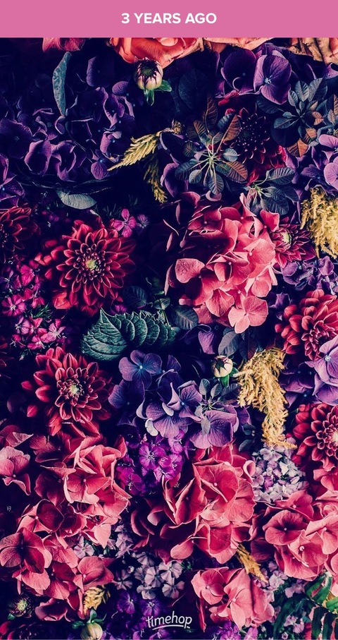 Header of kittinafree