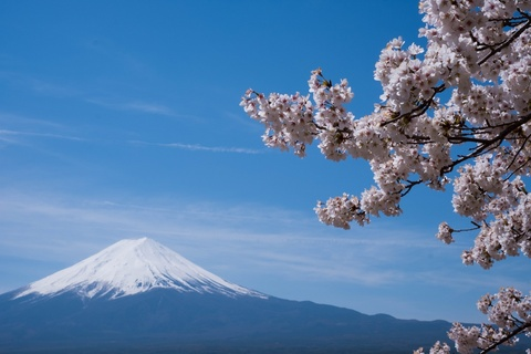 Header of kuromaho
