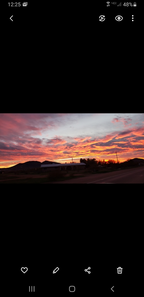 Header of layzefanclub