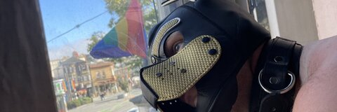 Header of leatherpaladin