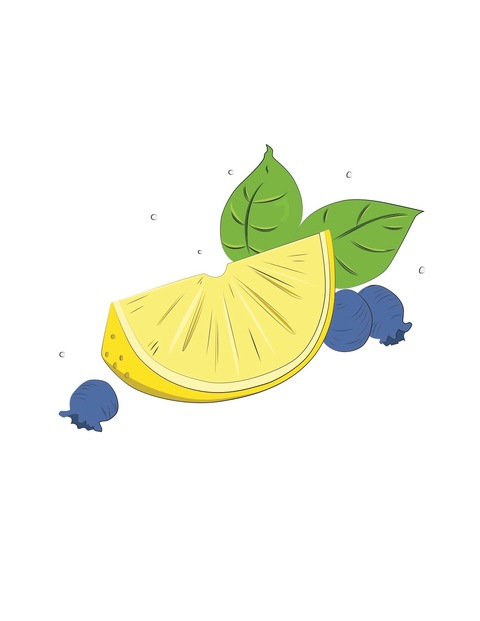 Header of lemonblueberry