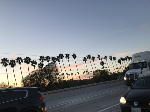 Header of lexiprooo
