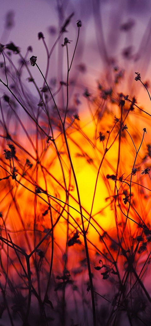 Header of lickmaryjane223