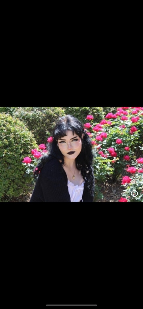 Header of lilacpuppie