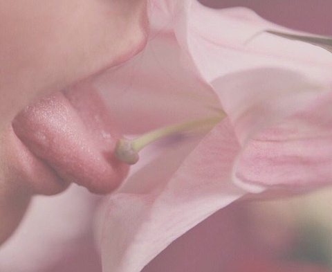 Header of lilglitch