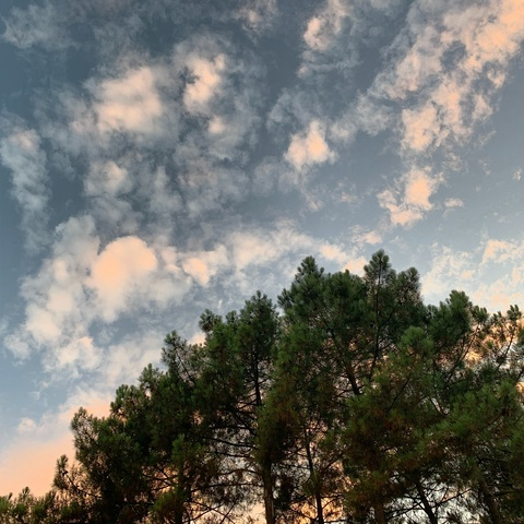 𝕭𝖆𝖇𝖞 𝕭𝖑𝖚𝖊𝖘 🌻 @lilith_petite Leaked OnlyFans - LeakedOnlyF