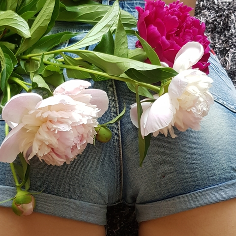 Header of liliyayours