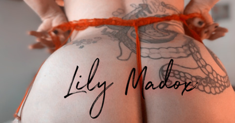 Header of lilymadox