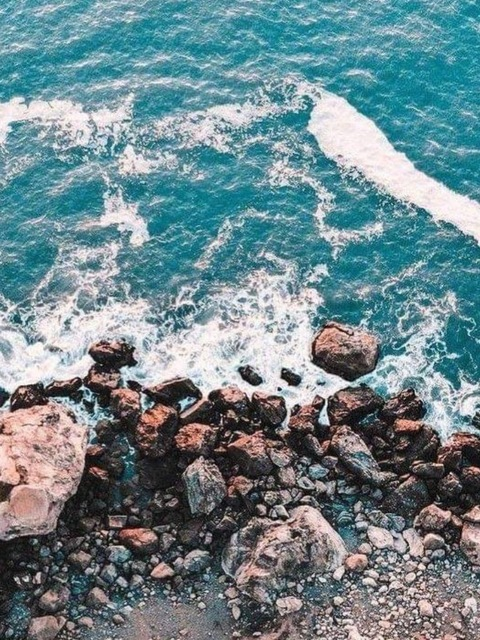 Header of littlerebel