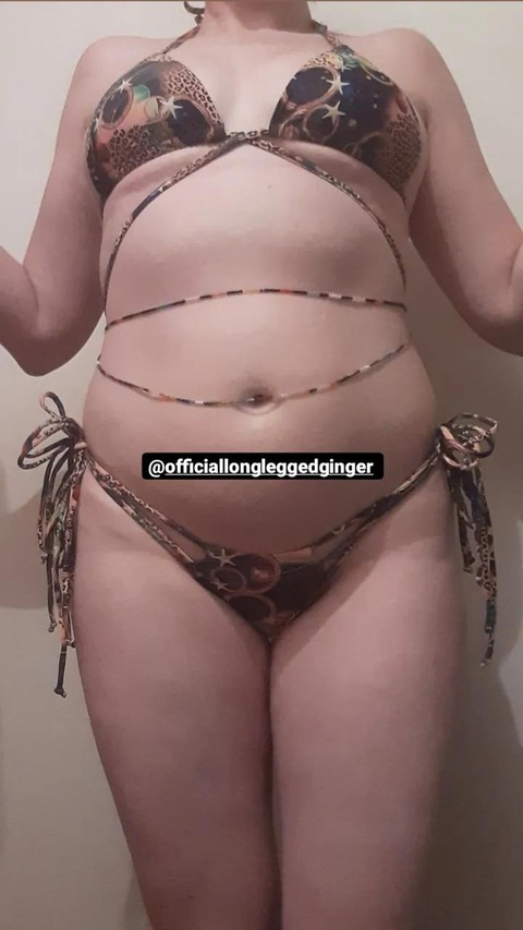 Header of longleggedginger