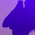 lovelyvenuskp (Venus) OnlyFans Leaked Content 

 profile picture