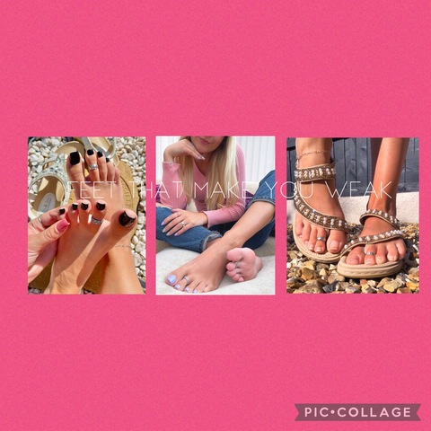 Header of lush_fern